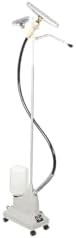 Gray Personal Steamer with Fabric Brush