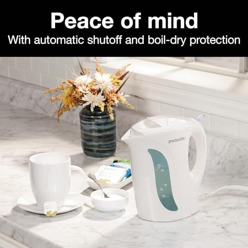 Handheld Garment Steamer and Electric Kettle — photo 3