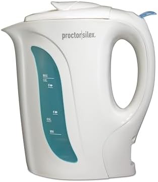 Handheld Garment Steamer and Electric Kettle — photo 5